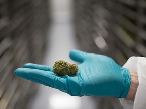 Investor said Hexo's market capitalization of about $1 billion was significantly below the US$23 billion market cap of rival Canopy Growth Corp, the only other company with an alcohol partnership.