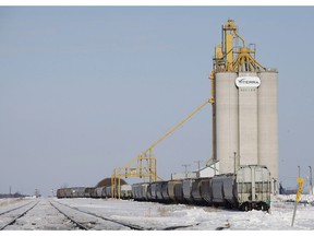 Grain and oil rail cars pass by a grain elevator in Rosser, Man., just outside Winnipeg, on March 24, 2014. They're not guaranteeing improved grain transportation by this winter, but Canada's two biggest railways say they believe new locomotives, hopper cars and extra staff will still make a difference getting crops to market in the months ahead. That was the message Canadian Pacific and Canadian National railways presented Wednesday in Saskatoon at a meeting with farm groups, grain industry officials and members of the federal cabinet.
