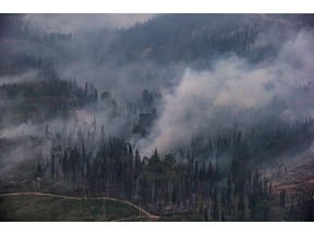 The Shovel Lake wildfire burns near the Nadleh Whut'en First Nation in Fort Fraser, B.C., on Thursday August 23, 2018. The latest report on the state of Canada's forests shows that the area burned last year by fires jumped three-fold from the year before.THE CANADIAN PRESS/Darryl Dyck