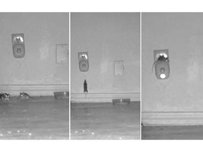 This photo of three images taken from October 2017 video produced by Sierra Research Laboratories shows mice congregated around and climbing on a device that was supposed to scare them away. The images were included in a civil complaint filed with the U.S. Attorney's Office for the Southern District of New York against BHH, the New York based company that produces the device. On Wednesday, Sept. 5, 2018, a New York judge said pictures of mice lounging around the anti-rodent device are reason enough to let a lawsuit proceed against the company that sells them. (Sierra Research Laboratories via AP)