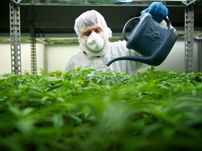 Tilray's operations on Vancouver Island. Horizons Marijuana Life Sciences Index ETF, or HMMJ, added eight new stocks to its portfolio and boosted its holdings in several companies including Tilray.