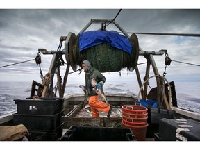 FILE - In this April 23, 2016, file photo, Elijah Voge-Meyers carries cod caught in the nets of a trawler off the coast of New Hampshire. American fishermen are slated to lose thousands of pounds of valuable fishing quota under a new catch share agreement with Canada for the 2019 fishing year, that was approved in September.