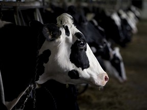 U.S. milk prices are in the fourth year of a slump due to chronic oversupply.