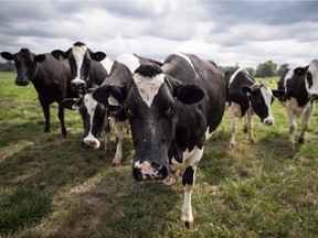 The U.S.-Mexico-Canada Agreement announced Sunday night will grant an expanded 3.6 per cent market access to the domestic dairy market and eliminate two milk price classes, including the controversial Class 7.