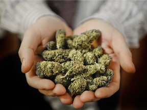 Cannabis advocate Dana Larsen holds medical marijuana at his dispensary in Vancouver in 2008.