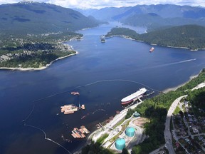 The National Energy Board is meant to study the impact the proposed Trans Mountain Expansion project would have on whales in Burrard Inlet.