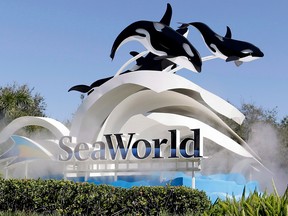 SeaWorld entrance in Orlando, Florida. Air Canada says its vacation wing stopped offering SeaWorld tickets for purchase on its website last week, calling the move a "commercial decision."