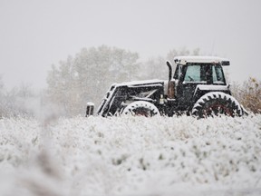 Wet and snowy weather is keeping farmers from harvesting their crops.