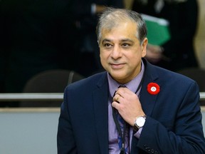 Statistics Canada chief statistician Anil Anand.
