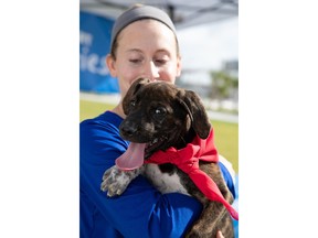 With the help of over 3,500 animal welfare organizations across the country, PetSmart Charities will host its final National Adoption Weekend of 2018. From November 9 – 11, tens of thousands of homeless pets will travel to nearly all of the 1,600 PetSmart stores across North America and Puerto Rico in the hopes of finding a forever family just in time for the holidays. If you can't adopt, inspire others by taking a photo of a shelter pet and using #PicMe to spread the word about the event.