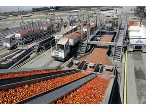 FILE- In this Sept, 17, 2018, file photo tomatoes go through a washing process at the Los Gatos Tomato Products plant in Huron, Calif. On Friday, Nov. 9, the Labor Department reports on U.S. producer price inflation in October.