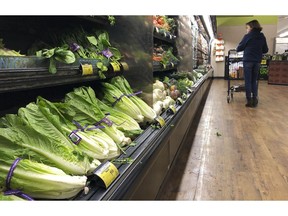 FILE - In this Nov. 20, 2018 file photo, romaine lettuce sits on the shelves as a shopper walks through the produce area of an Albertsons market in Simi Valley, Calif.  After repeated food poisoning outbreaks linked to romaine lettuce, the produce industry is confronting the failure of its own safety measures in preventing contaminations. The latest outbreak underscores the challenge of eliminating risk for vegetables grown in open fields and eaten raw. It also highlights the role of nearby cattle operations and the delay of stricter federal food safety regulations.
