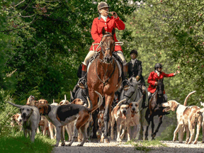 Rosslyn Balding is the Toronto and North York Hunt's professional huntsman. Balding is the only woman employed as a huntsman in Canada, which has 10 accredited hunt clubs, and among only a handful of female huntsmen worldwide.