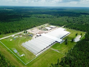Liberty’s Innovation Campus in Florida boasts more than 200,000 square feet of greenhouses and processing facilities