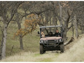 In this Saturday, Dec. 22, 2018, photo, Gov. Jerry Brown tours his Colusa County ranch accompanied by his dogs, Colusa, left, and Cali, center, near Williams, Calif. Brown leaves office Jan. 7, 2019, after a record four terms in office, from 1975-1983 and again since 2011.