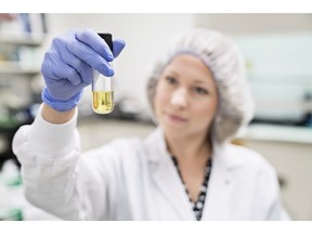 An Aphria worker inspects cannabis oil in an undated handout photo. Marijuana producer Aphria Inc. says chief executive Vic Neufeld and co-founder Cole Cacciavillani will be leaving their executive roles at the company, but will remain on the board.