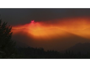 FILE - In this July 21, 2018, file photo, the sun sets behind smoke from the Taylor Creek Fire about 12 miles west of Grants Pass, Ore. When several Oregon winegrowers were threatened with financial ruin after a California winemaker cancelled contracts to buy 2,000 tons of grapes, claiming they were tainted by smoke from wildfires, four Oregon wineries stepped in to buy many of the grapes. But now, because the government shutdown caused a huge backlog at a federal agency that approves labels on alcoholic drinks, getting an array of "Oregon Solidarity" wines made from those grapes to markets on time is in doubt.