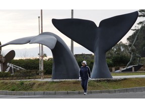 FILE - In this March 8, 2010, file photo, a woman walks by sculptures of whales, the symbol of the southwestern Japanese town of Taiji.  Japanese whalers are discussing plans ahead of their July 1, 2019 resumption of commercial hunting along the northeastern coasts for the first time in three decades.