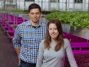 Lufa Farms co-founders Mohamed Hage and Lauren Rathmell in one of their greenhouses.