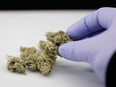 The WHO is recommending that cannabis and its resin be removed from Schedule IV, the most restrictive category of a 1961 drug convention that governs international treaties.