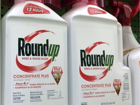 FILE - This Jan. 26, 2017 file photo shows containers of Roundup, a weed killer made by Monsanto, on a shelf at a hardware store in Los Angeles. A jury in federal court in San Francisco will decide whether Roundup weed killer caused a California man's cancer in a trial starting Monday, Feb. 25, 2019, that plaintiffs' attorneys say could help determine the fate of hundreds of similar lawsuits.