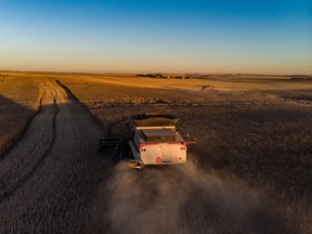 Canada exported about $3.6 billion worth of canola seed, oil and meal to China in 2017.