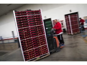 In this Saturday, March 2, 2019 photo, workers move boxes with tomatoes inside the Gava group warehouse in Almería, in the autonomous community of Andalusia, Spain. Britain's impending departure from the European Union could punch a multi-million-euro hole in the fruit and vegetable  business here.