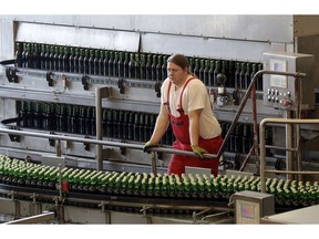 In this photo taken on Monday, March 11, 2019, a worker checks beer production line at the Budejovicky Budvar brewery in Ceske Budejovice, Czech Republic. The Budejovicky Budvar brewery in the Czech Republic managed to survive a decades-long trademark battle over whether it could call its beer Budweiser. But now it faces another potential threat: Brexit. The United Kingdom is one of the brewer's top five markets, and like many other businesses, it's concerned about what will happen if Britain leaves the European Union without an agreement governing trade.