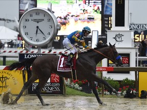 American Pharoah, ridden by Victor Espinoza, wins the 140th Preakness Stakes horse race at Pimlico Race Course, Saturday, May 16, 2015, in Baltimore.