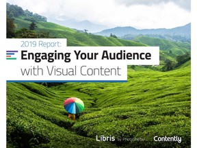 The 2019 report by Libris and Contently reveals how marketers are navigating growing demands for visual storytelling.