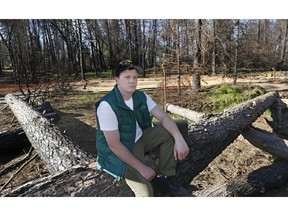 In this April 22, 2019, photo, Camp Fire survivor Zachary Byrd sits on the burned remains of trees that once stood around his home before it was destroyed by last year's wildfire, in Paradise, Calif. It took Byrd and his girlfriend almost three hours to travel 15 miles to safety after they decided to flee the wildfire that took the lives of 85 people that swept through Paradise and neighborhood communities.