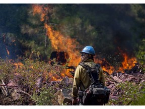 In this Sept. 4, 2018, photo, Tyler Medders of the Susanville Hot Shots keeps an eye out for embers at the North Fire near the North Fork Campgrounds in Placer County in Emigrant Gap, Calif. With nearly 40 million people living in California and development spreading into once-wild regions, some of the state's best tools toward preventing wildfires can't be widely used. Still, there is growing agreement that the state must step up its use of forest management through prescribed burns and vegetation removal in an attempt to lessen the impact of wildfires.