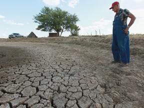 A farmer looks over a pond he uses to water the cattle on his farm. Farmers are using technology and geo-engineering to work around worsening weather.