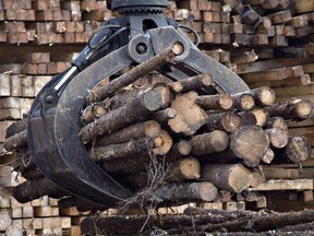 Workers pile logs at a softwood lumber sawmill in Saguenay, Que. Canada is appealing the WTO decision to allow U.S. to use ‘zeroing’ to calculate anti-dumping duties.