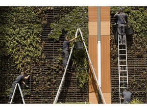 FILE - In this April 9, 2019, photo gardeners work on a vertical planters in Philadelphia. On Tuesday, April 30, the Labor Department releases the employment cost index for the first quarter, a measure of wage and benefit growth.