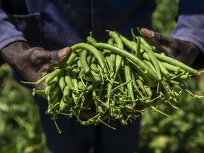 Venture capitalists are looking to find new industries to disrupt, such as agriculture. A tech startup that sells crop insurance to farmers in Africa is one such example.