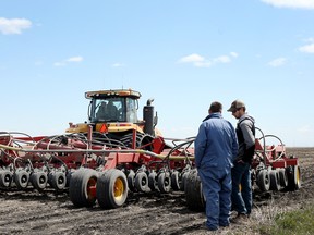 Canola planting at a farm in  Manitoba.