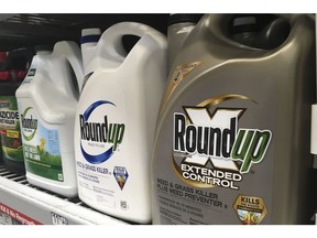 FILE - In this Feb. 24, 2019, file photo, containers of Roundup are displayed on a store shelf in San Francisco. A Northern California jury ordered agribusiness giant Monsanto Co. to pay a combined $2.05 billion to a couple who claimed the company's popular weed killer Roundup Ready caused their cancers. The Oakland jury on Monday, May 13, 2019, delivered Monsanto's third such loss in California since August. Alva and Alberta Pilliod claimed they used Roundup for more than 30 years to landscape. They were both diagnosed with non-Hodgkin's lymphoma. Monsanto owner Bayer said it would appeal.