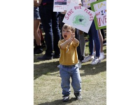 A young protestor takes part in a demonstration organised by 'Global Strike 4 Climate' in Parliament Square in London, Friday, May 24, 2019.