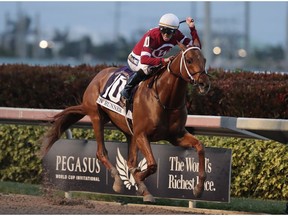 FILE - In this Jan. 27, 2018, file photo, jockey Florent Geroux rides Gun Runner (10) past the finish line to win the Pegasus World Cup Invitational horse race, at Gulfstream Park in Hallandale Beach, Fla. Billionaire Frank Stronach made his money in auto parts and wanted to put it into horse racing. It was his idea in 2016 to launch the Pegasus World Cup at Gulfstream Park in Florida, which now has the biggest purse in the world at $16 million.