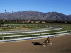 An exercise rider takes a horse for a workout at Santa Anita Park with palm trees and the San Gabriel Mountains as a backdrop in Arcadia, Calif. Frank Stronach purchased Santa Anita in 1998 for US$126 million. Today, its estimated value as a real estate development is in the billions.