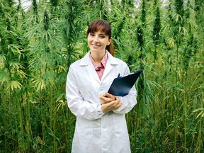 Confident doctor posing in a hemp field