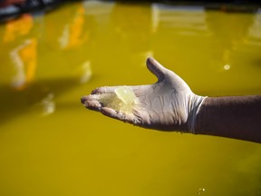 Lithium concentrate at a Sociedad Química y Minera de Chile lithium mine on the Atacama salt flat in the Atacama Desert, Chile.