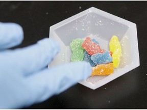 Edible marijuana samples are set aside for evaluation at Cannalysis, a cannabis testing laboratory, in Santa Ana, Calif., on Aug. 22, 2018.