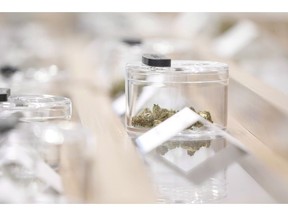 Cannabis sits in a sample display in Winnipeg on October 17, 2018.