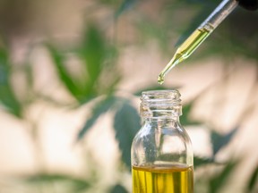 Eye dropper over cannabis oil jar with cannabis leaf in background
