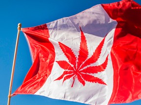 Canadian cannabis producers are spending tens of millions of dollars to build up international footholds with the intent of being key players in the emerging global cannabis industry.