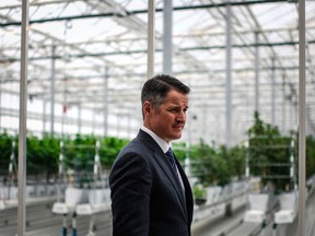 Tilray CEO Brendan Kennedy at the company's European production site in Portugal.