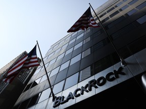 BlackRock has named an interim head of human resources.