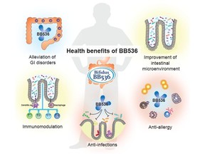 Figure 1. Beneficial effects of Bifidobacterium longum BB536 on human health.